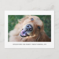 Invitación de adopción de Mascota gráfico simple