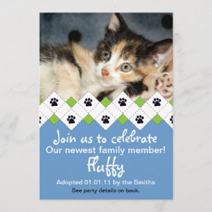 Invitación de adopción gatos/gatitos