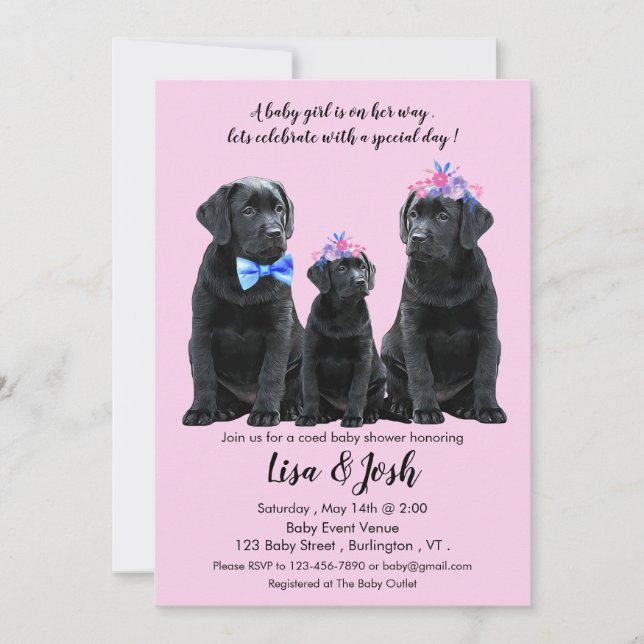 Invitación de Baby Shower de Black Labrador Retrie (Anverso)