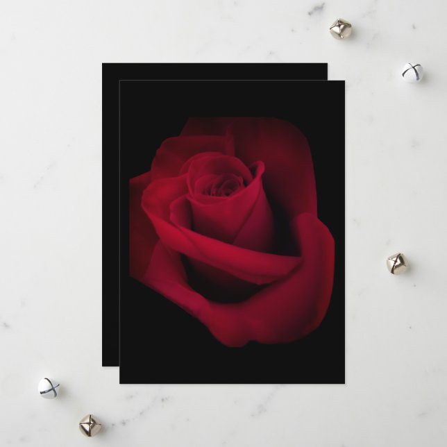 Invitación de boda con rosa roja, Guarde la fecha (Anverso/Reverso In Situ)