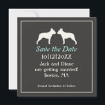 Invitación de boda de Boston Terriers para guardar<br><div class="desc"></div>