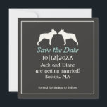 Invitación de boda de Boston Terriers para guardar<br><div class="desc"></div>