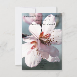 Invitación de boda de flor de cerezo en flor