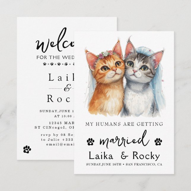 Invitación de Boda de Gato Adorable (Anverso / Reverso)