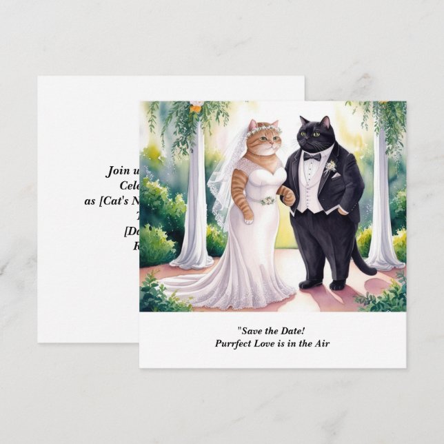 invitación de boda de gato para guardar la fecha (Anverso / Reverso)