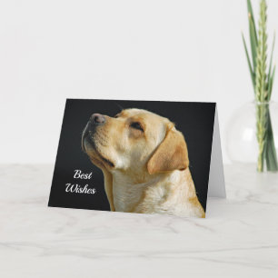 Invitación de boda de la enhorabuena del labrador
