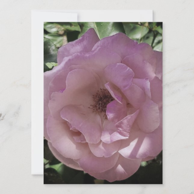 INVITACIÓN DE BODA DISEÑO DE ESTILO ROSA DE Tarjet (Anverso)