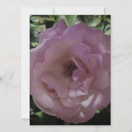 INVITACIÓN DE BODA DISEÑO DE ESTILO ROSA DE Tarjet