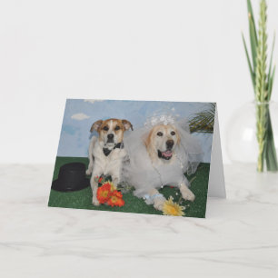 Invitación de boda, foto de 2 perros el día de