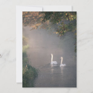 Invitación de boda romántica junto al lago con cis
