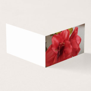 invitación de boda tarjeta plana roja amaryllis