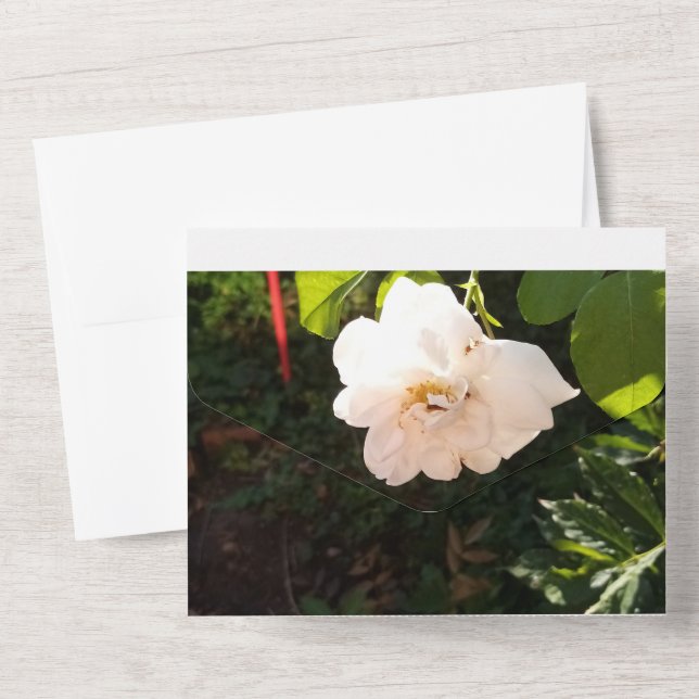 Invitación de boda todo en uno (Reverso )