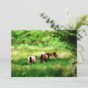 INVITACIÓN DE CABALLOS