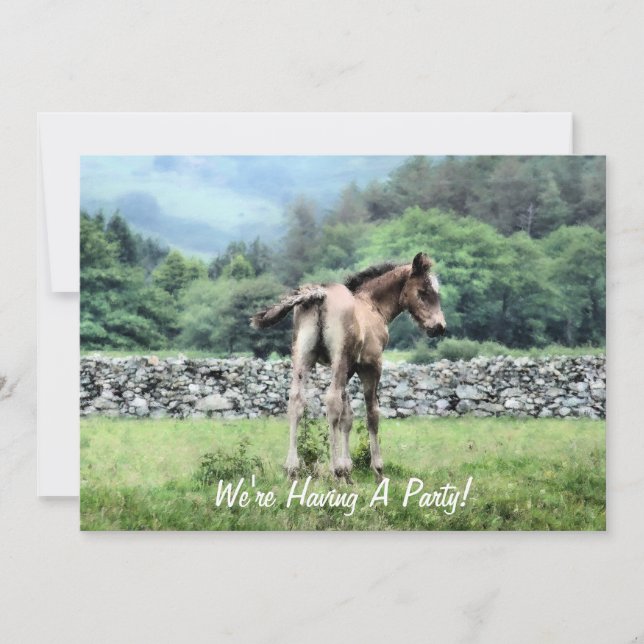 INVITACIÓN DE CABALLOS (Anverso)