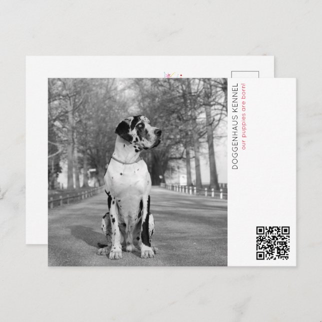 Invitación de Cachorro (Anverso / Reverso)