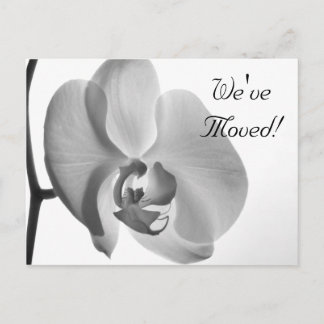 Invitación de cambio de dirección en orquídeas bla