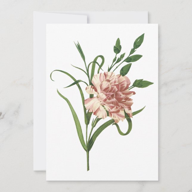 Invitación de clavel (Anverso)