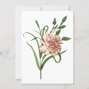 Invitación de clavel