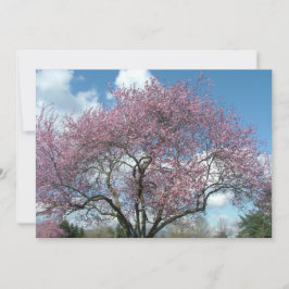 invitación de cumpleaños