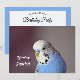 Invitación de cumpleaños a la foto de bonito Blue 