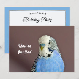 Invitación de cumpleaños a la foto de Parakeet Azu
