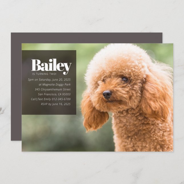 Invitación de cumpleaños a la foto de perro porcin (Anverso / Reverso)