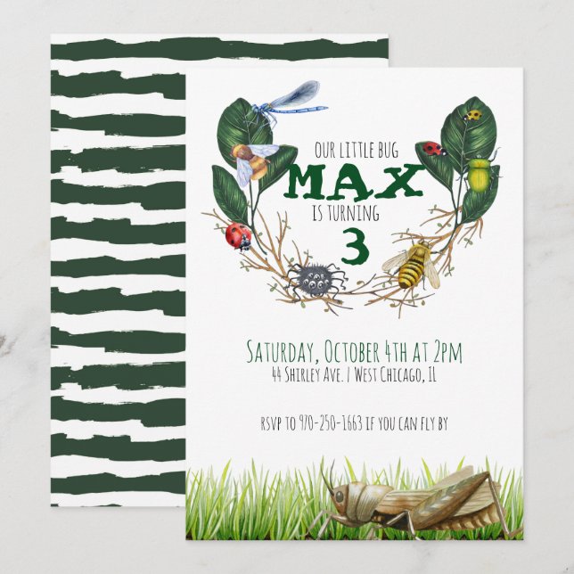Invitación de cumpleaños con tema de insectos (Anverso / Reverso)