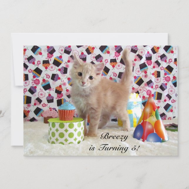 Invitación de cumpleaños de Buffington (gato/ gati (Anverso)