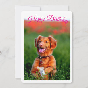 Invitación de cumpleaños de cachorro de perro lind