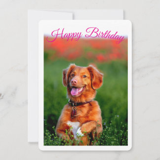 Invitación de cumpleaños de cachorro de perro lind
