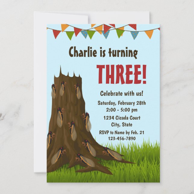 Invitación de cumpleaños de Cicada (Anverso)