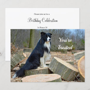 Invitación de cumpleaños de Collie de borde