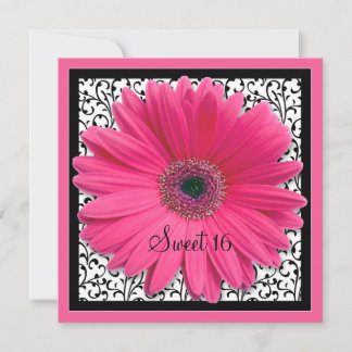 Invitación de cumpleaños de Gerbera Daisy Sweet 16