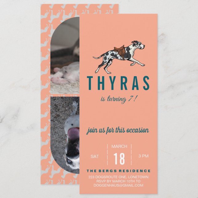 Invitación de cumpleaños de Gran Danés con foto (Anverso / Reverso)