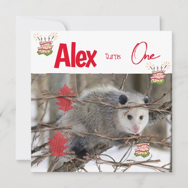 Invitación de cumpleaños de niños a Possum Nature (Anverso)