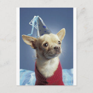 Invitación de cumpleaños de perro Fiesta
