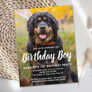 Invitación de Cumpleaños de Perro Personalizada co