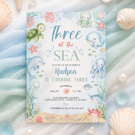 Invitación de cumpleaños número 3 del niño en el m