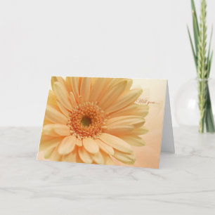 invitación de dama de honor junior, Gerbera (marga