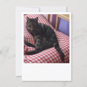 Invitación de Dave lindo