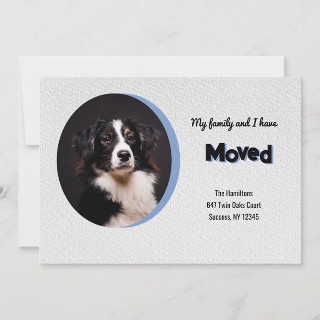 Invitación de desplazamiento de foto de perro (Anverso)