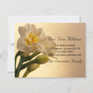Invitación de dirección nueva de White Daffodils