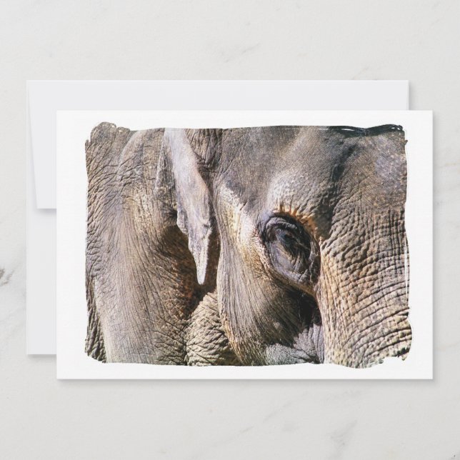 Invitación de ELEPHANT (Anverso)