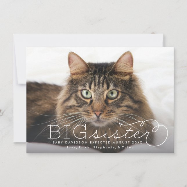 Invitación de embarazo de Mascota fotográfico herm (Anverso)