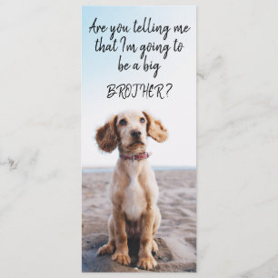 Invitación de embarazo de Mascota hermano/hermano 