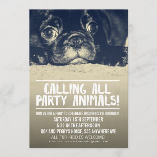Invitación de Fiesta de perro de pug pipa [foto de
