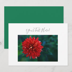 Invitación de Flor de Dalia Roja Preciosa con Tu T