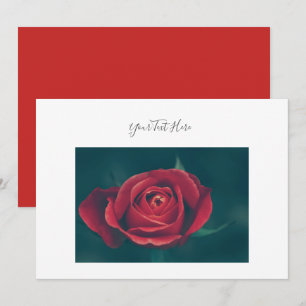 Invitación de Flor de Rosa Roja Espectacular con t