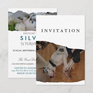 invitación de foto de Gran Danés