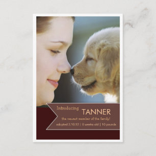 Invitación de foto de pancarta del nuevo Mascota B